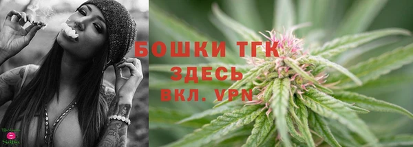 твердый Арсеньев