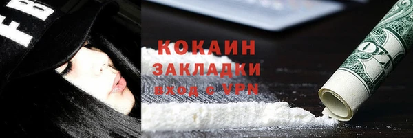твердый Арсеньев