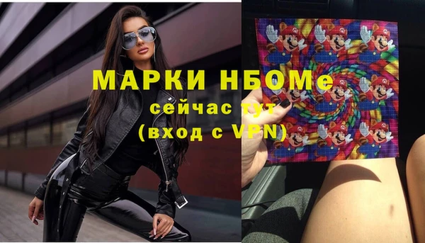 твердый Арсеньев