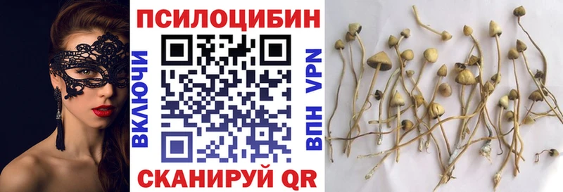 купить наркотики цена  Сычёвка  KRAKEN ONION  Псилоцибиновые грибы GOLDEN TEACHER 